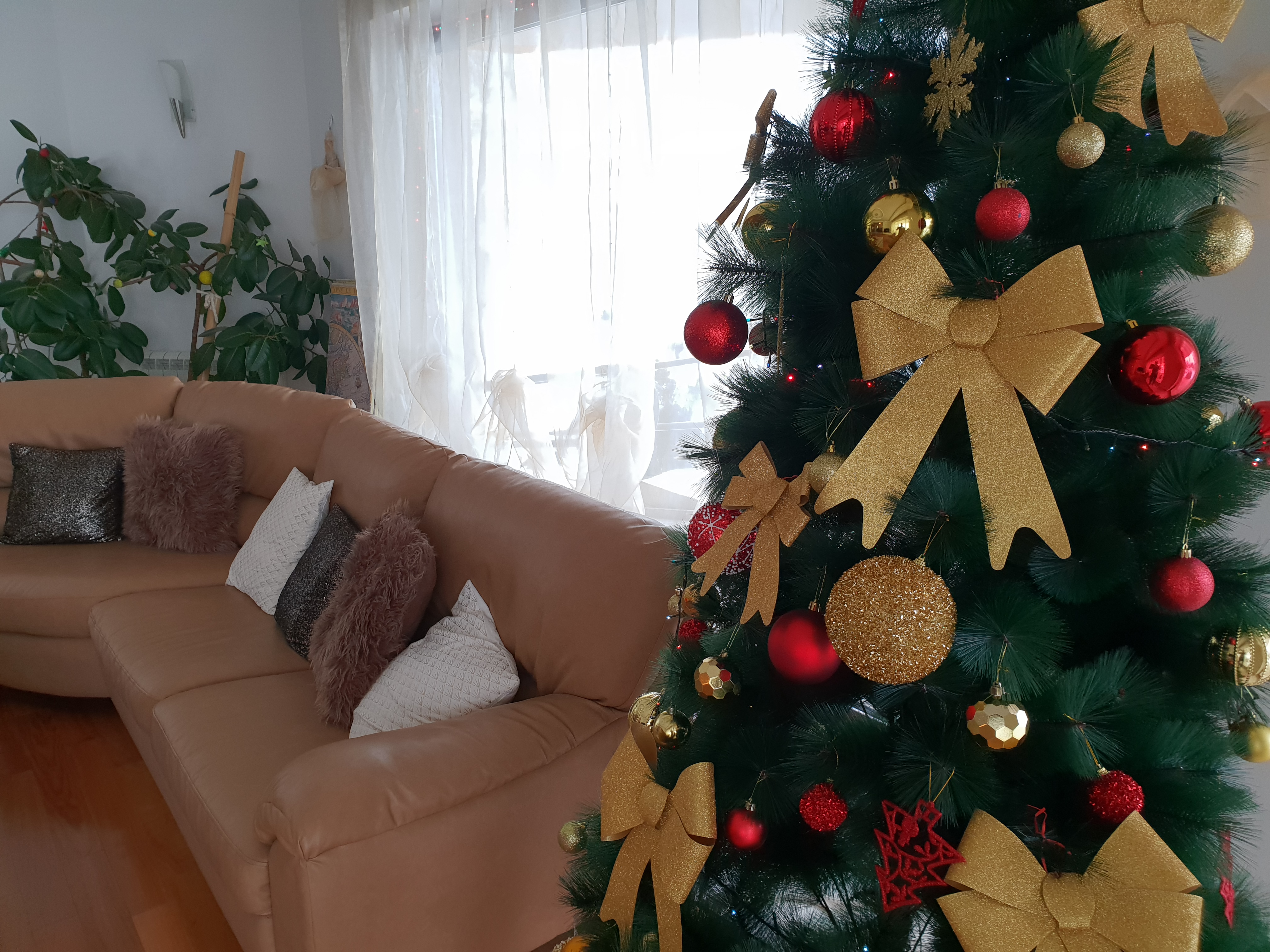 Notre clinique dans l’ambiance et l’esprit des fêtes