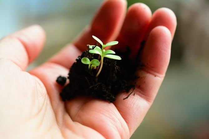 L’importance de l’atelier d’activités thérapeutiques
