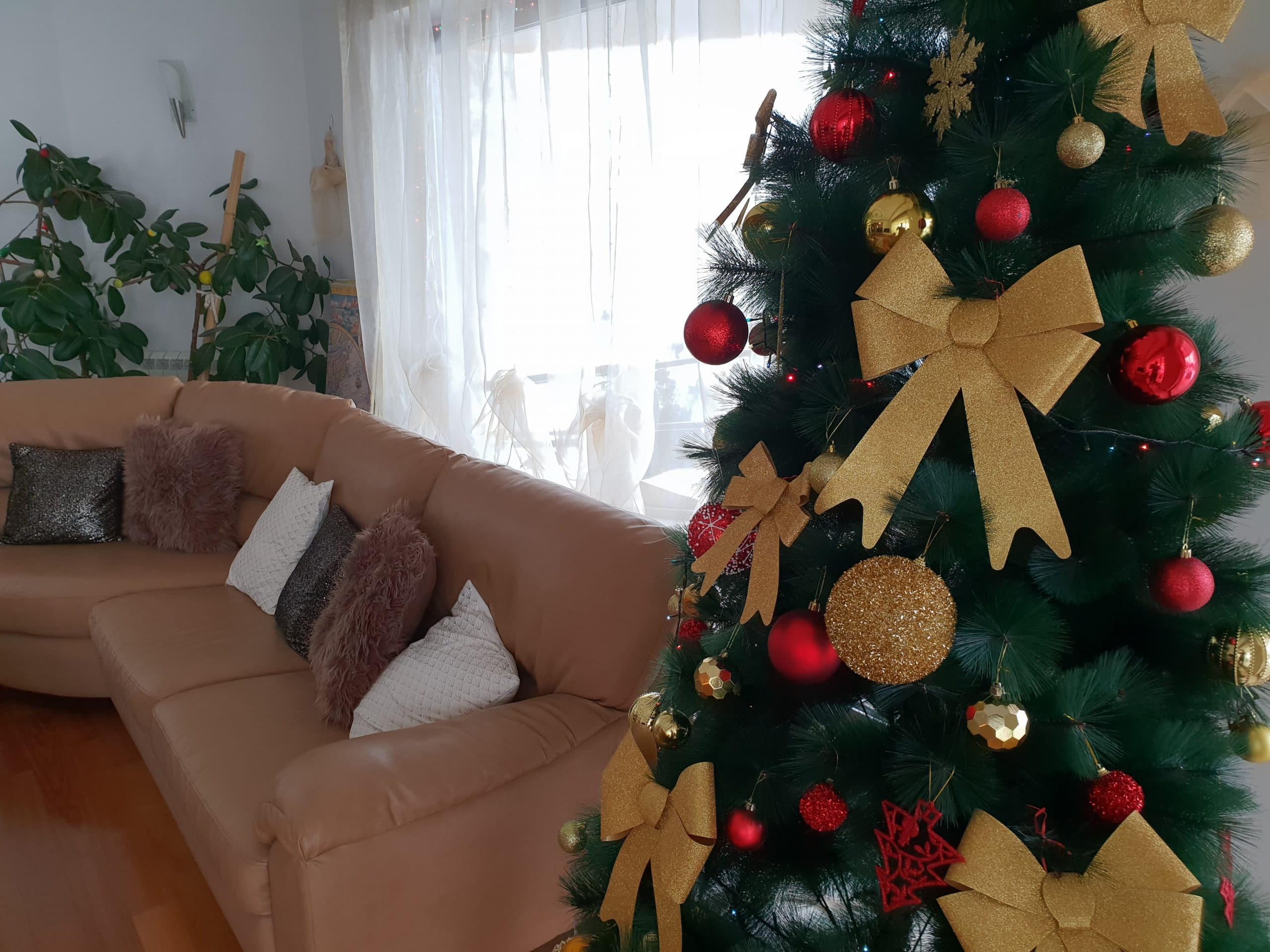 Naša klinika u duhu praznične atmosfere
